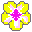 tiny yellow and pink flower icon